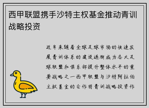 西甲联盟携手沙特主权基金推动青训战略投资